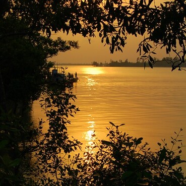 Sundarbans