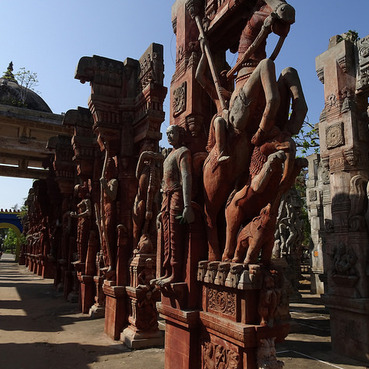 VGP Universal Kingdom